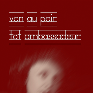 Hoe ik ambassadeur werd